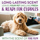 TropiClean Dog Perfume, Long Lasting Plum Cologne, Deodorizing Spray for Smelly Dogs, After Bath Detangling Spray with Vitamin E, Safe for Cats, 8oz.