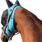 Horse Fly Mask Super Comfort Horse Fly Mask Elasticity Fly Mask with Ears We Only Make Products That Horses Like… (Sky Blue, M)