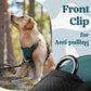 rabbitgoo Dog Harness Small Sized, No Pull Pet Harness with 3 Buckles, Adjustable Soft Padded Vest with Control Handle, Walking Reflective Pet Vest for Small Dogs, Blue Coral, S