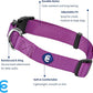 Blueberry Pet Essentials Matching Large Dog Collar | Adjustable Classic Solid Color Nylon Dog Collars for Large Dogs | Violet Dog Collar for Large Dogs