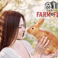 | Alfalfa Hay Food | Small Pet | Young and Adult | Pellets | 5 Pounds