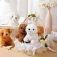 Skylety 12 Pack 5" Mini Dog Stuffed Animals Stuffed Puppies Bulk Small Plush Dogs Cute Soft Plush Toy Birthday Gift