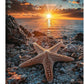 Beach Starfish Wall Decor Ocean Starfish Wall Art Sunset Scenery Coastal Theme Pictures Canvas Nature Seascape Painting Print Framed Artwork Decorations for Home Bathroom Living Room Bedroom Office 16"x24"