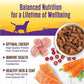 Wellness Complete Health Thick & Chunky Natural Grain Free Canned Wet Dog Food, Turkey & Duck Stew, 12.5-Ounce Can (Pack of 12)