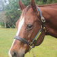 Leather Halter for Horses with Customized Engraved Name Plate Option Halter for Horse | Brown/Brass, Padded Halter (Blue or Green) Black/Brass, Black/Chrome Options