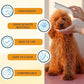 Dog Comb and Cat Combs Stainless Steel Teeth, Grooming Tool for Long & Short Hair, Dematting Comb for Dogs, Removes Tangles & Knots (Small Silver)