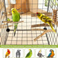 Natural Wood Bird Perches for Cage, Parrot Perch Stand & Platform, Bird Cage Accessories for Parakeets, Cockatiels, Conures, Lovebirds (Brown, Essential Perch Bundle - 5PCS)