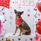 Weewooday 50 Pcs Dog Bandanas Bulk for Dogs Soft Bibs Adjustable Triangle pet Bandana for Small Medium Large Costume(Heart Pattern,25.6 x 17.7 x 17.7 Inch)