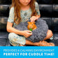 Paw Inspired Furr-O Burrowing Pet Bed with Zip-On Spandex and Fleece Bottoms for Guinea Pigs and Other Small Animals, Cozy Carrier, Hideout Enrichment Toy, Cage Accessories (Blue)