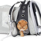 Lollimeow Cat Carrier Backpack, Bubble Dual Expandable Backpack Carrier, Pets and Small Dogs,Airline-Approved, Designed for Travel, Hiking, Walking & Outdoor Use (Dual Expandable-Black)