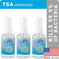 CleanSmart To Go Disinfectant Kills 99.9% of Viruses, TSA-Approved for Safe Travel, 2 oz Bottle (Pack of 3)
