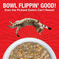 KOHA Pure Shreds Beef Entrée for Cats, Single Meat Wet Cat Food, 2.8oz Cans (Pack of 24)