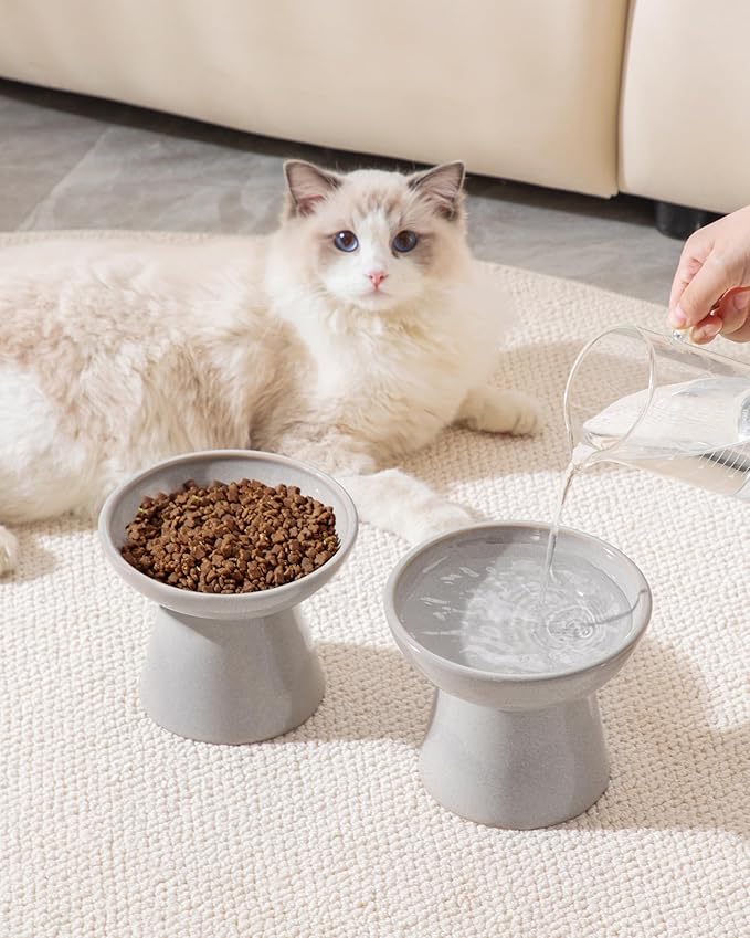vancasso Ceramic Elevated Cat Bowls 2-Pack - 6.2" Extra Wide Raised Cat Food & Water Dishes, 5.1" Optimal Height Anti-Whisker Fatigue Shallow Bowls for Cats/Kittens/Dogs, Lead & Cadmium Free (Grey)