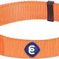 Blueberry Pet Essentials Small Dog Collar | Girl Dog Collars Fall | Female Dog Collar Small | Florence Orange Dog Collars for Small Dogs | Quick Release Dog Collar | Florence Orange Nylon Dog Collar