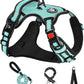 NESTROAD No Pull Dog Harness,Adjustable Oxford Dog Vest Harness with Leash,Reflective No-Choke Pet Harness with Easy Control Soft Handle for Large Dogs(Large,Turquoise)