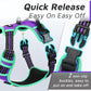 Eagloo Dog Harness for Large Dogs, No Pull Service Vest with Reflective Strips and Control Handle, Adjustable and Comfortable for Walking, No Choke Pet Harness with 2 Metal Rings, Purple & Green, L