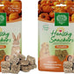 Small Pet Select - Healthy Snackers - Pumpkin (Pack of 2)