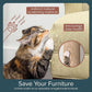 Cat Climbing Wall System – Modern Floating Shelves & Perches for Cats - Sunrise Steps | Ascentials by FurHaven