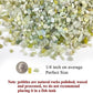 2 lbs Jade Rocks for Plants Indoor, 1/4 inch Small Pebbles for Plants, Decorative Rocks for Succulents Cactus Vases Landscaping Drainage and Outdoor Garden Rocks