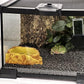Mini Reptile Glass Terrarium Tank, cage for Tarantula Sling Geckos, Frog, Lizards, Chameleons,Turtles Snake Snail Insect Hermit Crab Isopods Reptiles Enclosure (7.9x7.9x5.7inch)