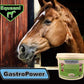 GastroPower Digestible Free Fatty Acid Feed Concentrate for Horses