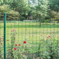 Black PVC Coated Welded Wire Fence 36 Inch x 50 Foot, 2 Inch x 4 Inch 15GA, Garden Border Fencing Roll Vinyl Coating Metal Wire Mesh Hardware Cloth for Yard Vegetable Plant Protection