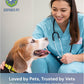 Natural Flea & Tick Repellent Collar Tag for Dogs & Cats – BioPower Pet Shield – Safe for Pets When Used as Directed – Lasts 1 Full Year - Small Tag (<10 Lbs)
