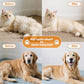 Cat Steam Brush for Indoor Cats, Dog Brush for Shedding, Spritz Defur Comb for Short & Long Hair, Pet Spray Hair Removal Comb, USB Rechargeable Grooming Supplies Steam Brush for All Pets (White)