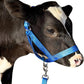 XUANNIAO Easily Adjustable Figure 8 Cow Halter, Double-Ply Premium Livestock Cattle Halters, Colorful Cow Utility Calf Halter with Leading Rope for Miniature Horse Donkey Goat Foal (Medium, Blue)