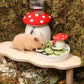 Niteangel Hamster Snack & Treats Toy - Small Animal Natural Treat for Dwarf Syrian Robo Hamsters Gerbils Mice Lemmings Degus or Other Small-Sized Pets