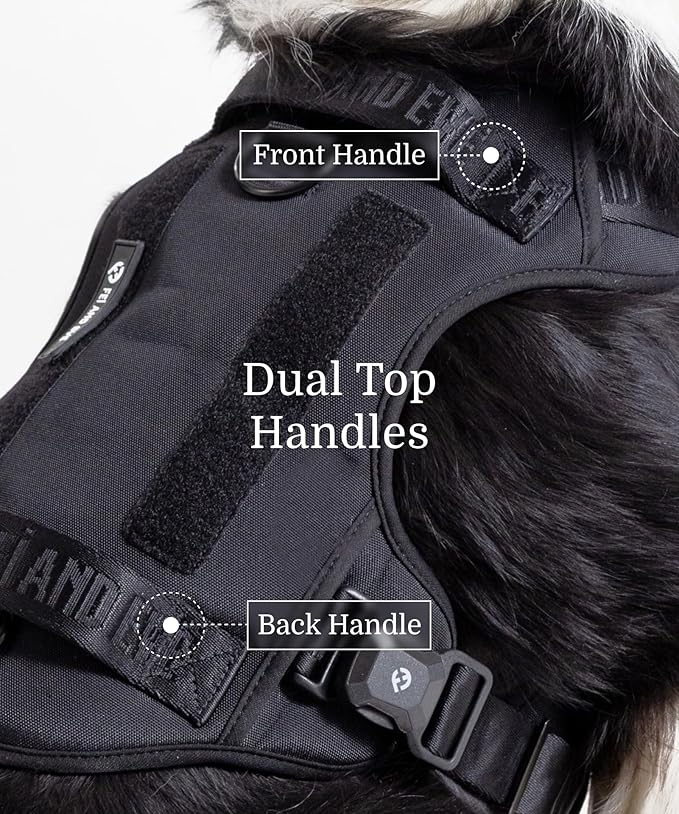2025 New Edition, Fei & Eve MagEase Dog Harness - 3-Second Magnetic Buckles | 3-Point No-Pull Control | Heavy-Duty 900D Nylon | Dual Safety Handles | Breathable Mesh | Adjustable Fit | Small, Black