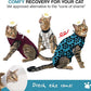 Bellyguard Cat Recovery Suit Female and Male, Comfy Onesie After Surgery, Kitten Clothes for Post-Op Care, Neuter and Spay Healing Outfits for Cats Only – Comfortable Kitten and Adult Cone Alternative
