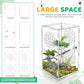 Jumping Spider Enclosure, 12x6x6 Inch Acrylic Tarantula Enclosure, Jumping Spider Accessories with Front Opening Door