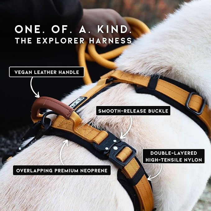 MADE TO ROAM Premium Explorer Harness - Y-Shaped Dog Harness with Adjustable Durable Nylon, Soft Padding, Metal Buckles and Leather Handle for Small, Medium, Large Dogs (Nevada Evening, Size 7)
