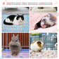 6 Pack Guinea Pig Cage Liner, Washable Guinea Pig Fleece Blankets Beding Accessories, Flannel Throw Warm Sleep Mat, Pet Pee Pads for Small Animal Hamster Rabbit Puppy Cat (Light Color, 30x20 Inch)