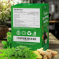 TOG999, Premium 20 Tea bags Super Moringa Herbal Tea, Special Blend of Moringa Leaves, Spearmint Leaves, Ginger, Lemon Peel and Chamomile. No Sugar, No Caffeine, No Gluten, Vegan.
