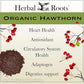 Herbal Roots Organic Hawthorn Berry Capsules | Extra Strength 1,200mg per Serving | 60 Vegan Capsules