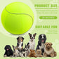 Herding Ball for Dogs & Horses - 20" with Cover Large Green Ball with Pump
