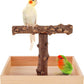 Bird Perch, Portable Tabletop Bird Stand, Training Play T Shaped Stand for Parrot Parakeet Cockatiels Conures Budgies Finch Lovebirds