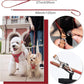 Puppytie No Pull Small Dog Harness with Multifunction Dog Leash,Lightweight Soft Adjustable No Choke Escape Proof Pet Harness Vest Pet Harness Vest,red Hawthorn,S