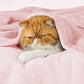 Bedsure Bedding Fleece Blanket for Girls and Boys - Soft Cozy Cute Small Throw Blankets for Travel, 43x55 Inches, Pink