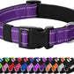 Reflective Dog Collar Padded with Soft Neoprene Breathable Quick Release Basic Dog Collars for Puppy Small Dogs Girl Purple