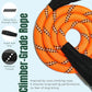 Dog Seat Belt for Car | Universal Dog Car Seatbelt | Durable Reflective Rope with Clip Hook Latch, Buckle and Carabiner- Safe and Secure Pet Safety Restraint (Orange)