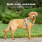 PetSafe 3 in 1 Dog Harness - No Pull Solution for Dogs - Reflective Dog Harness - Front D-Ring Clip Helps Stop Pulling - Comfortable Padded Straps - Top Handle Enhances Control - Black - Large