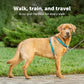 PetSafe 3 in 1 Dog Harness - No Pull Solution for Dogs - Reflective Dog Harness - Front D-Ring Clip Helps Stop Pulling - Comfortable Padded Straps - Top Handle Enhances Control - Plum - Large
