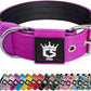 TSPRO Tactical Dog Collar 1.5 Inch Wide Thick Dog Collars with Heavy Duty Metal Buckle, Durable, Strong, Adjustable for Medium to Large Dogs (Purple L)