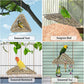 BNOSDM Bird Seagrass Mat, 3 PCS 7.1 x 7.1 Inches Parrot Natural Seagrass Woven Bird Net Hammock Mats Chew Toys Bird Hideout Cage Accessories for Lovebird Cockatiel Conure Budgie Hamster Rats