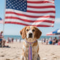 PET SHOW 10 Pack 4th of July Dog Ties Neckties for Large Medium Dogs Adjustable Holiday Grooming Accessories Patriotic Neck Ties Bowties Girl Boy Pets Memorial Day Holiday Party Costumes