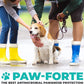 Forticept PAW Balm | Dog Paw Protector from Hot Pavement, Dirt, Salt, Ice and Snow | Soother and Moisturizer for Cracked Dog Paw Pads | Natural Wax Based, Lick Safe 3 oz