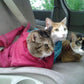 Cozy Comfort Carrier - Small Lavender Cat Carrier Soft, Cat Restraint Bag and Cat Sling Carrier for Grooming, Vet Visits, Medication Administration, Dental Care, and Nail Trimming
